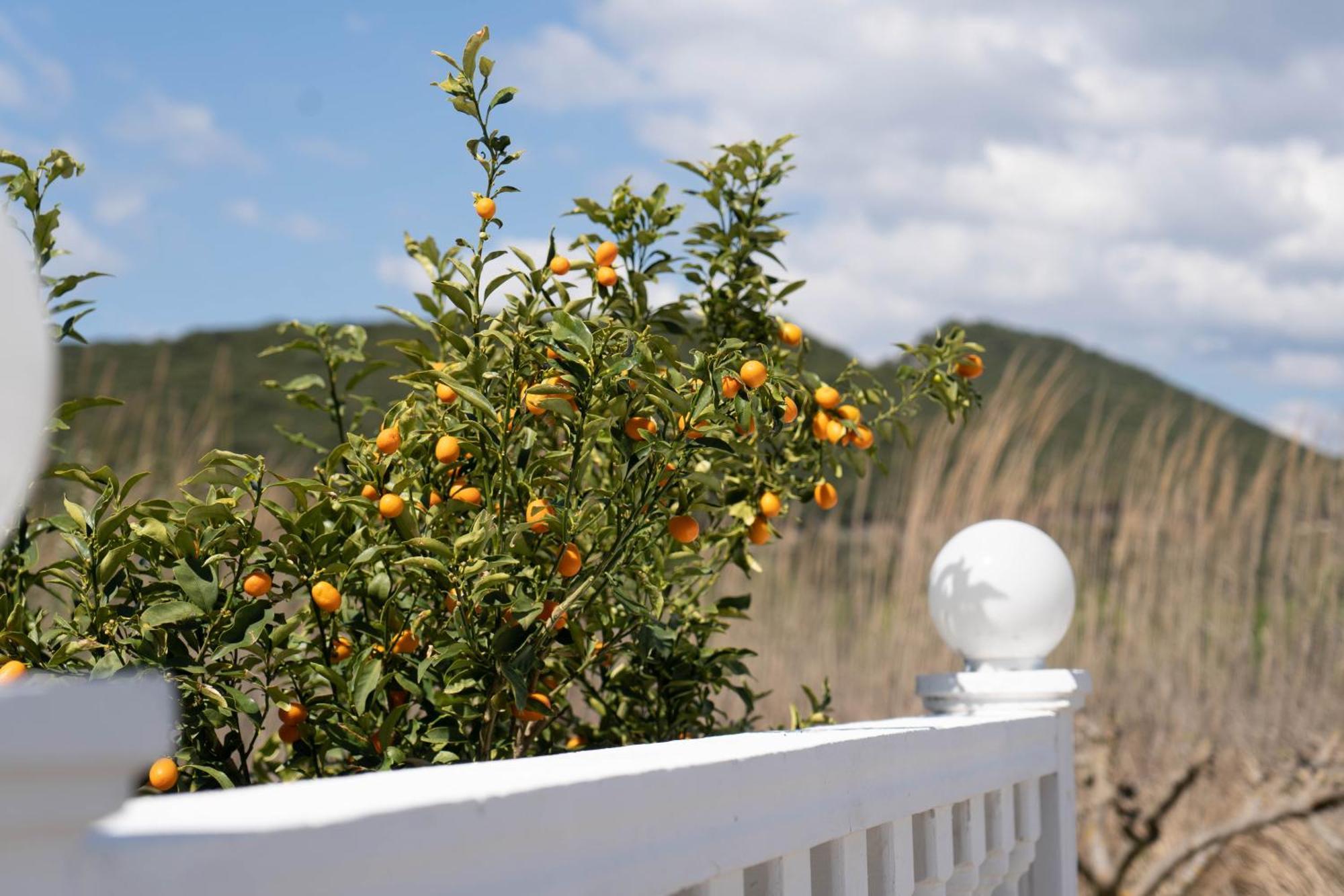 Hotel Alexandros 아무디아 외부 사진